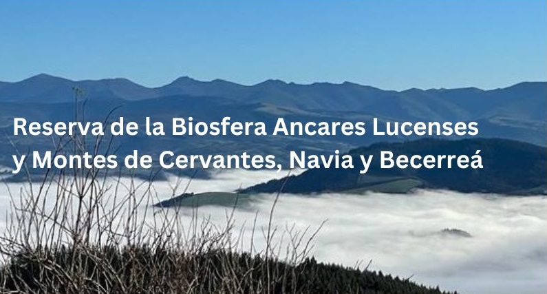 Reserva de la Biosfera Ancares Montes de Cervantes, Navia y Becerreá