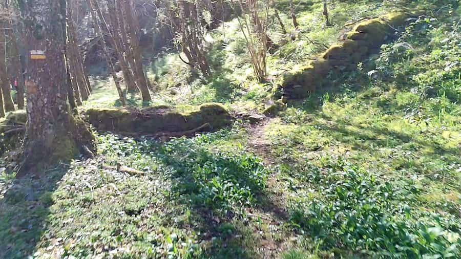 Muros de Junta Seca Rio Donsal