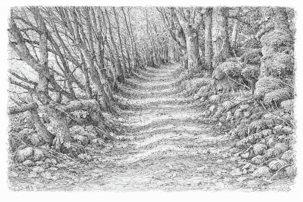 images/camino%20real%20en%20friol%20nordic%20walking%20lugo.jpg#joomlaImage://local-images/camino real en friol nordic walking lugo.jpg?width=1000&amp;height=667