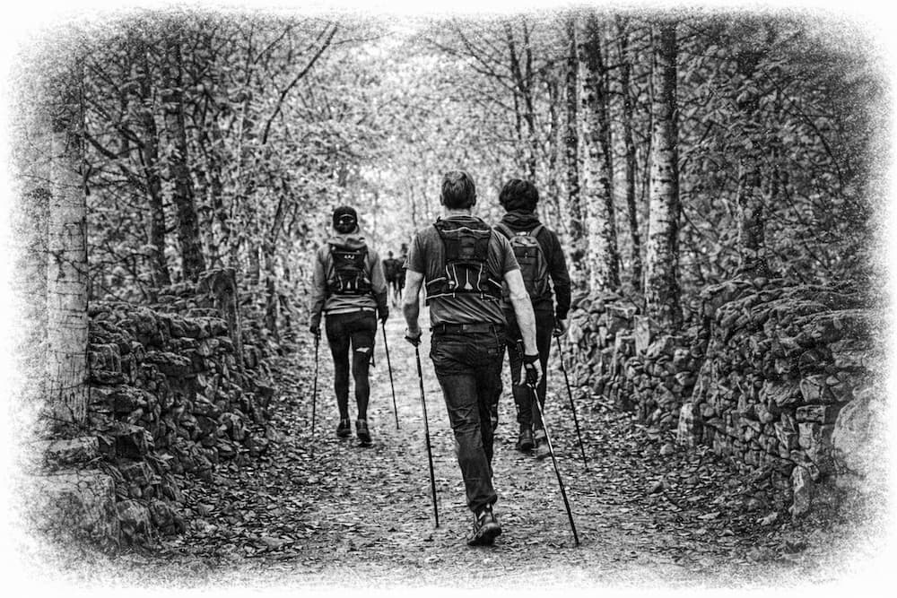 Nordic walking mountain